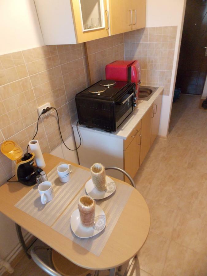 Apartament Morningstar Sfântu-Gheorghe Zewnętrze zdjęcie