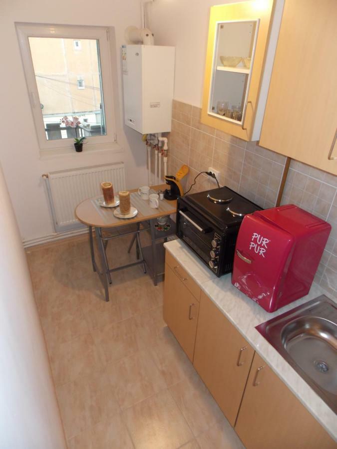 Apartament Morningstar Sfântu-Gheorghe Zewnętrze zdjęcie