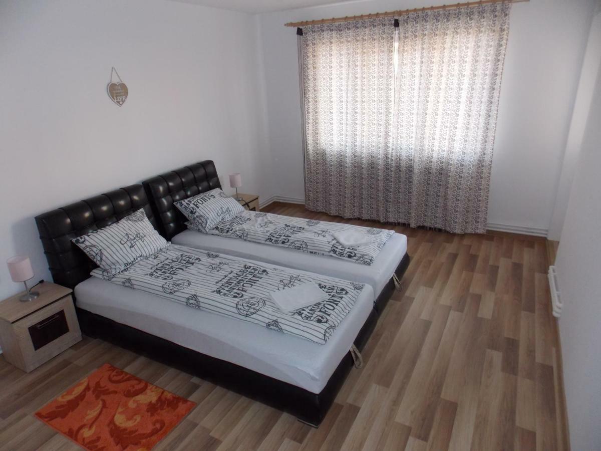Apartament Morningstar Sfântu-Gheorghe Zewnętrze zdjęcie